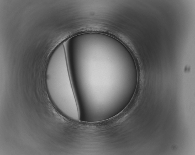 X0000110950481200906191118