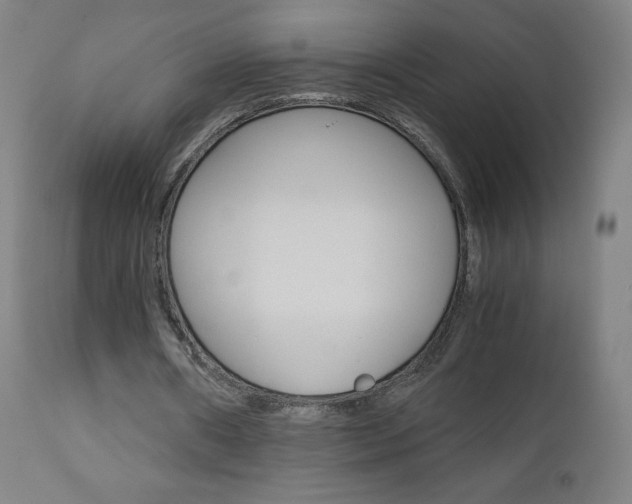 X0000110950482200906191118