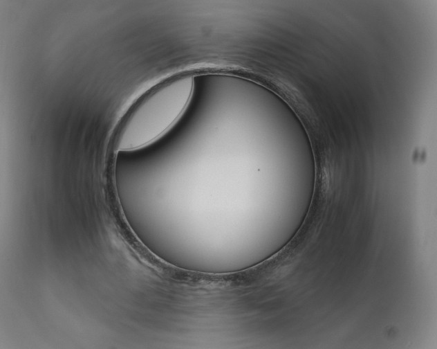 X0000110950484200906191118