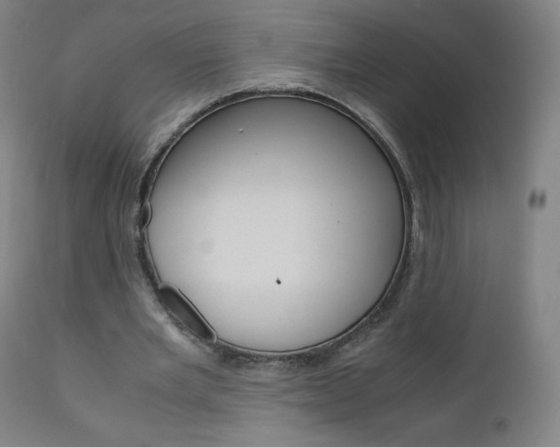X0000110950485200906191118