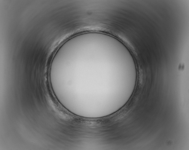 X0000110950486200906191118