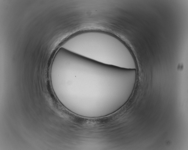 X0000110950487200906191118
