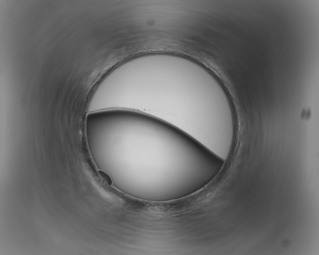 X0000110950489200906191118