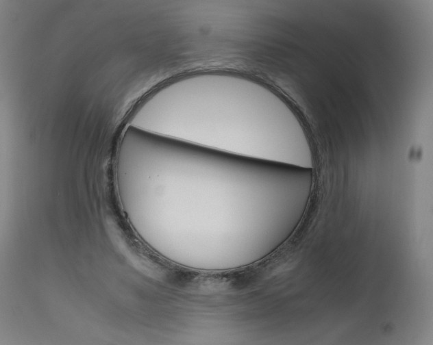 X0000110950491200906191118