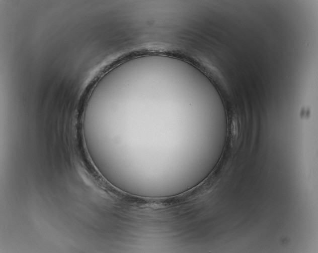 X0000110950492200906191118