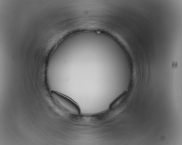X0000110950493200906191118