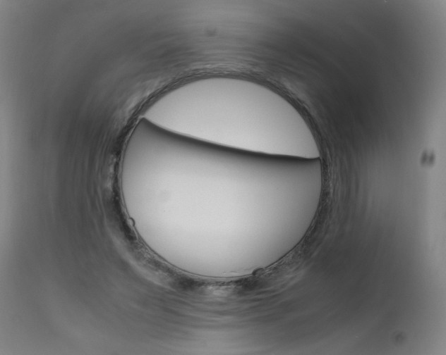 X0000110950495200906191118