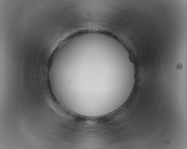 X0000110950496200906191118