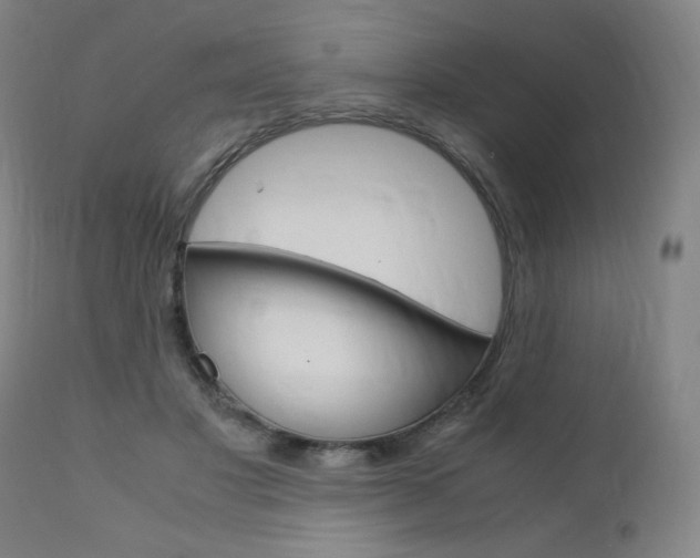 X0000110950501200906191118