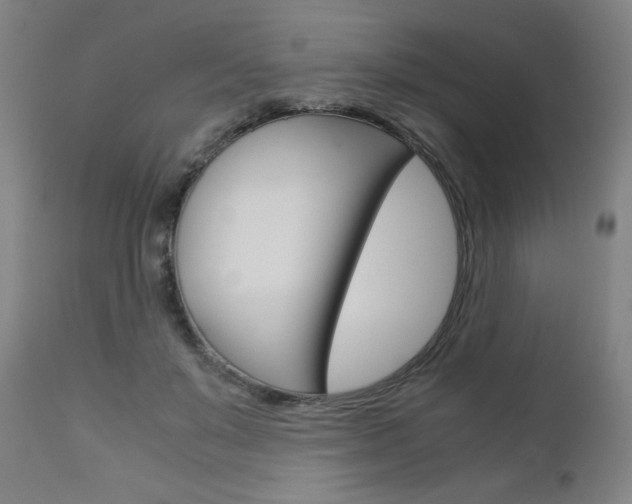 X0000110950503200906191118