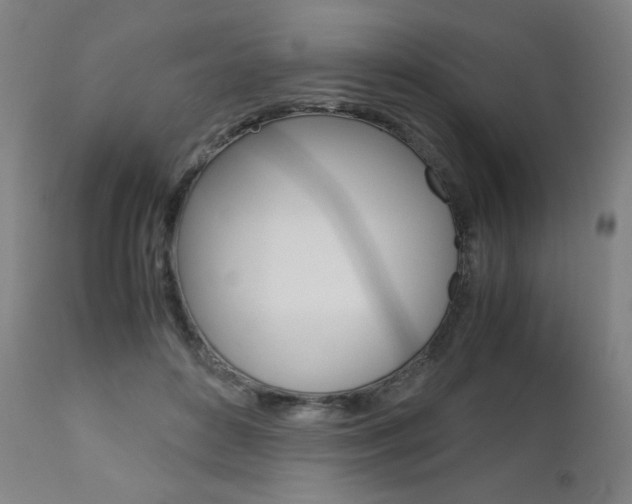 X0000110950504200906191118