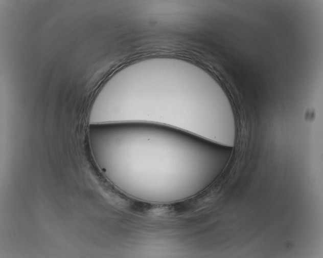 X0000110950505200906191118
