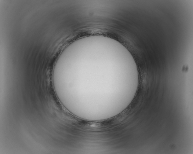 X0000110950506200906191118
