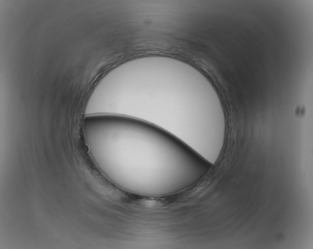 X0000110950509200906191118