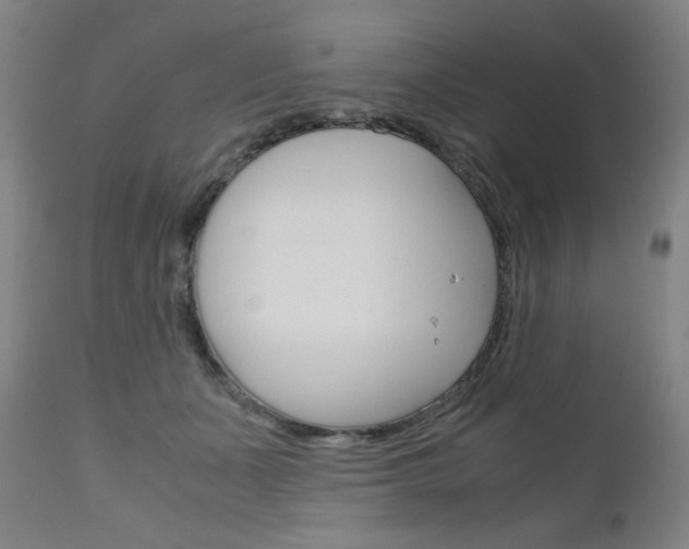 X0000110950511200906191118
