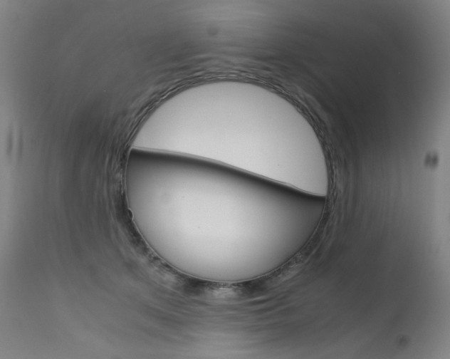 X0000110950513200906191118