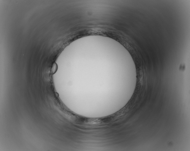 X0000110950514200906191118