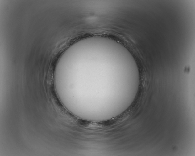 X0000110950515200906191118