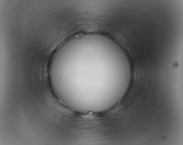 X0000110950516200906191118