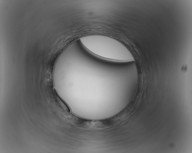 X0000110950517200906191118