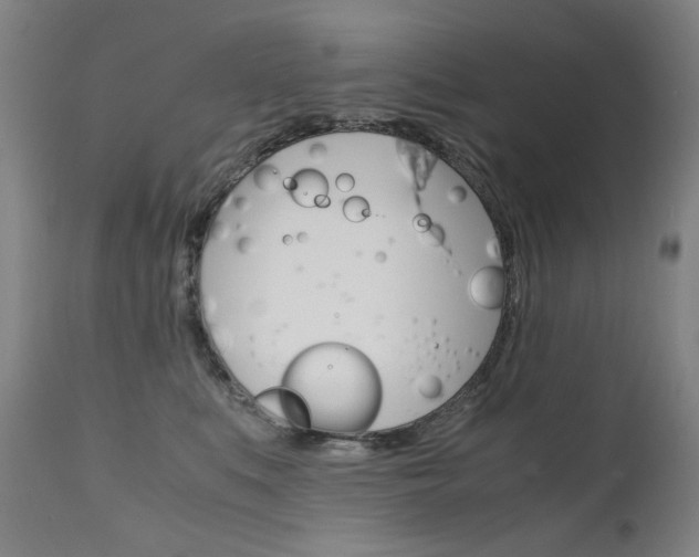 X0000110950519200906191118