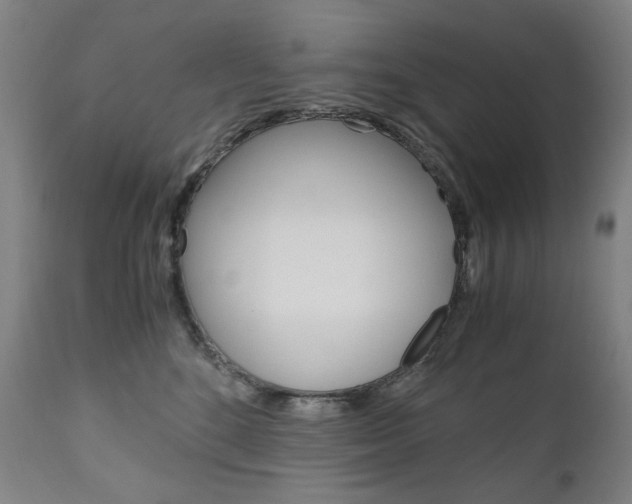 X0000110950520200906191118