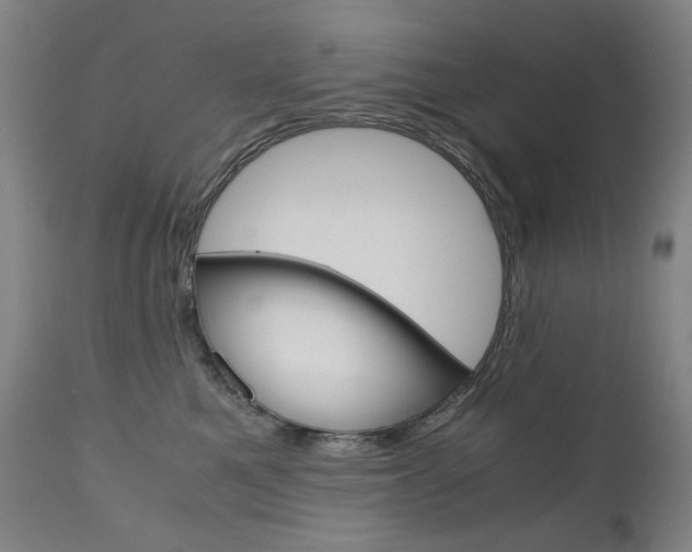 X0000110950521200906191118