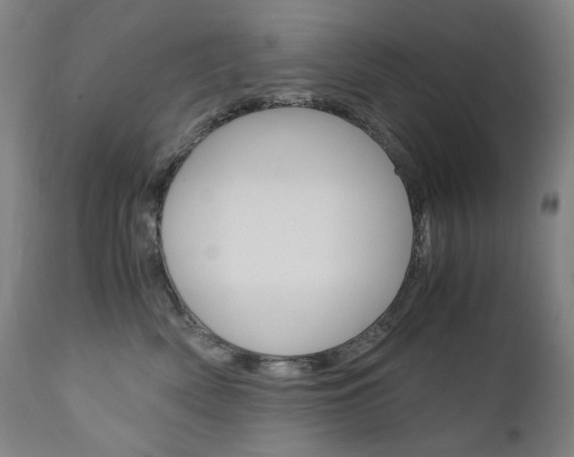 X0000110950522200906191118