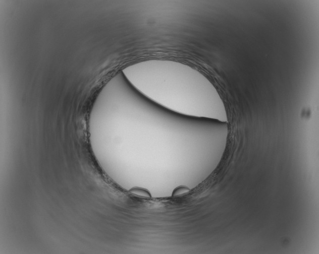 X0000110950523200906191118