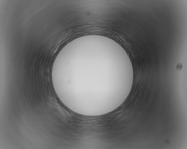 X0000110950524200906191118
