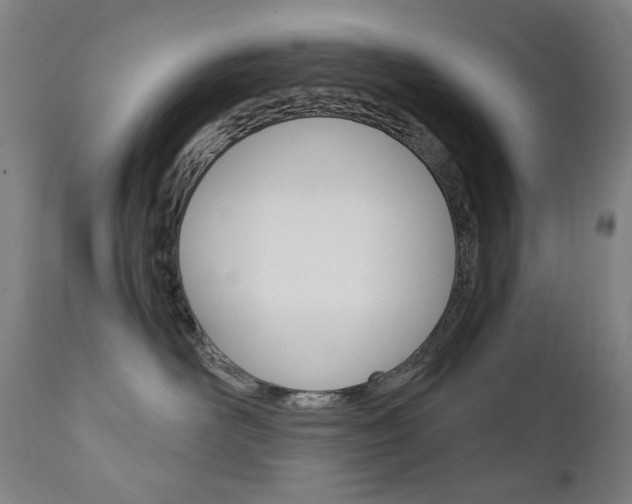 X0000110950526200906191118