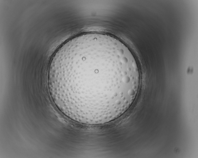 X0000110950529200906191117
