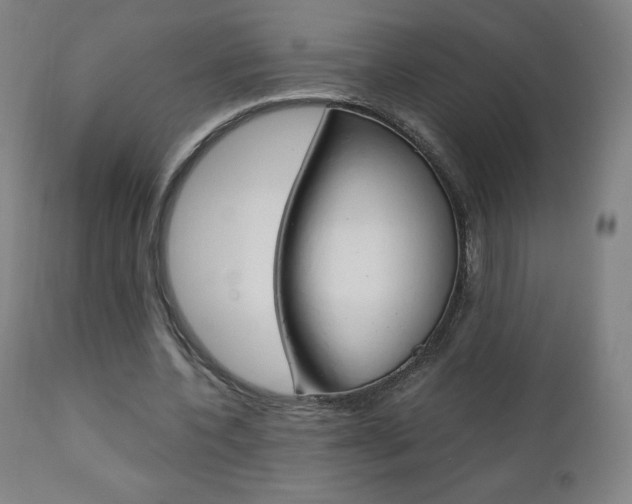 X0000110950532200906191117