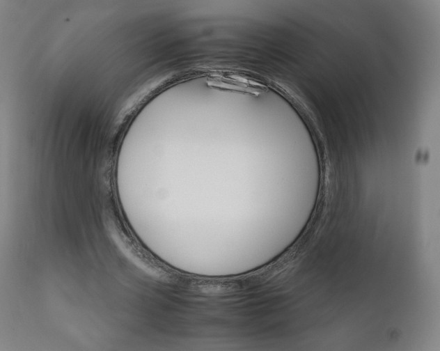 X0000110950533200906191117