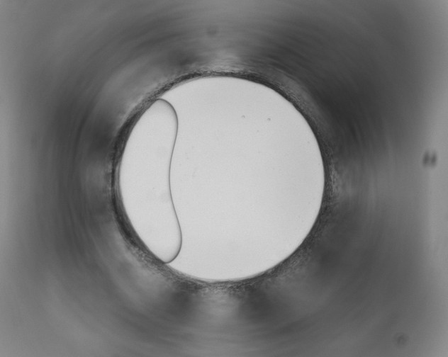X0000110950534200906191117