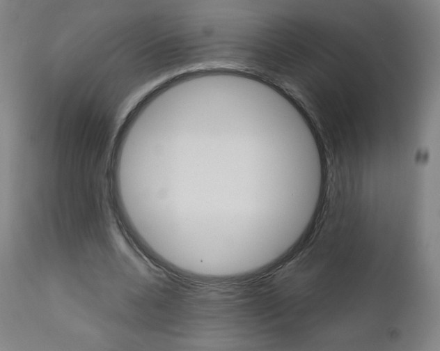 X0000110950536200906191117