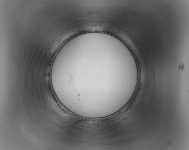 X0000110950537200906191117