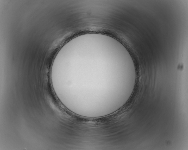 X0000110950542200906191117