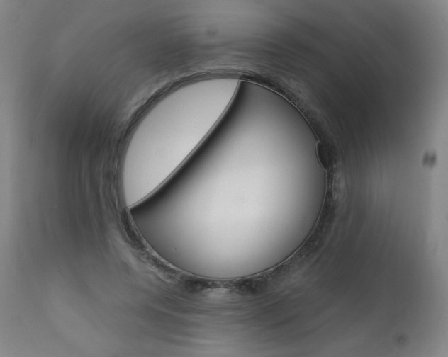 X0000110950544200906191117