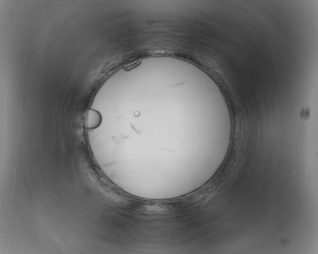 X0000110950545200906191117