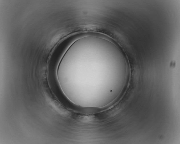 X0000110950548200906191117