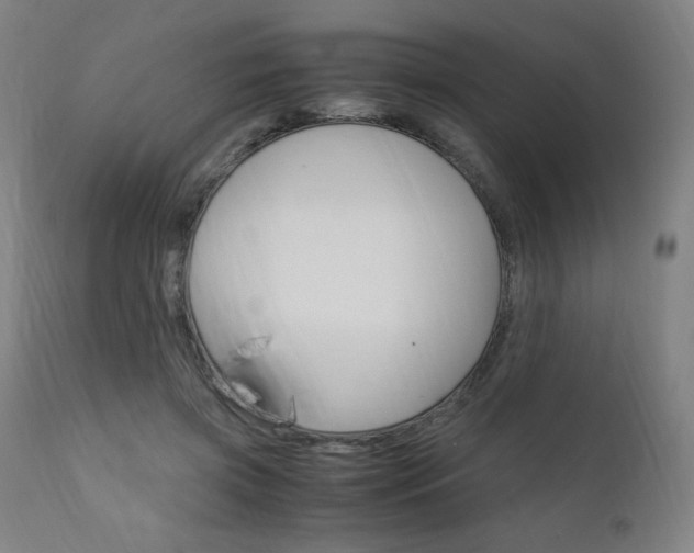 X0000110950549200906191117