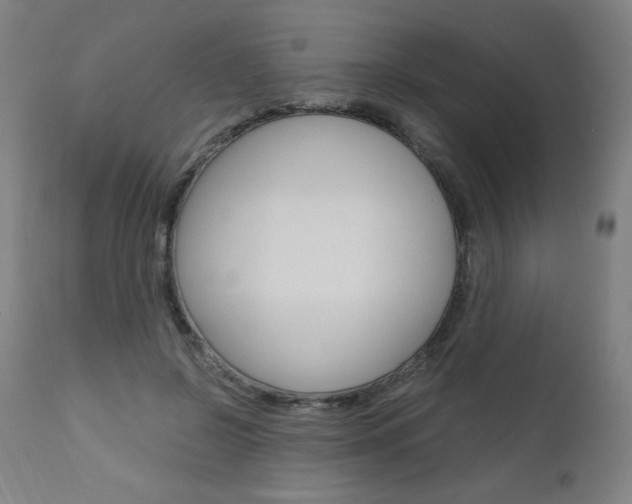 X0000110950550200906191117