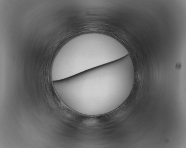 X0000110950551200906191117
