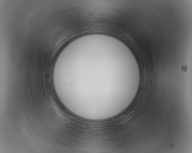 X0000110950552200906191117