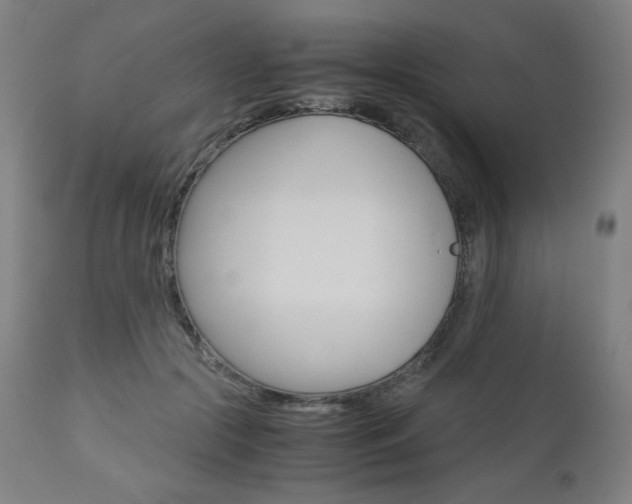 X0000110950553200906191117