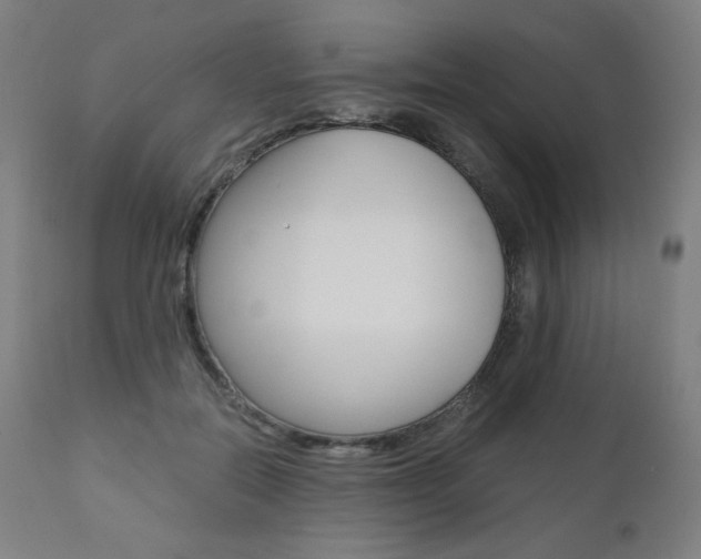 X0000110950554200906191117