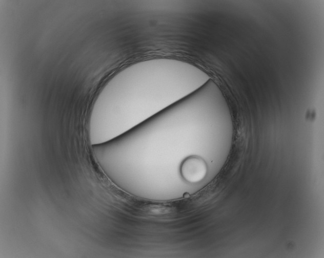 X0000110950555200906191117