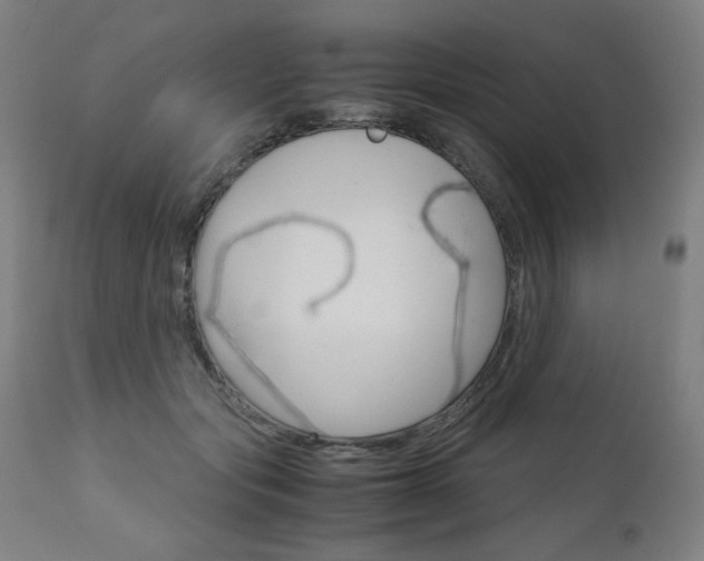 X0000110950557200906191117