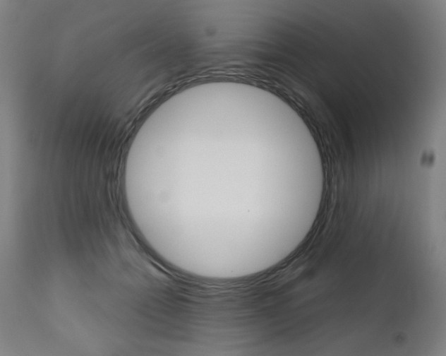 X0000110950558200906191117